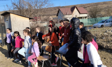 Dulcianu project 2026